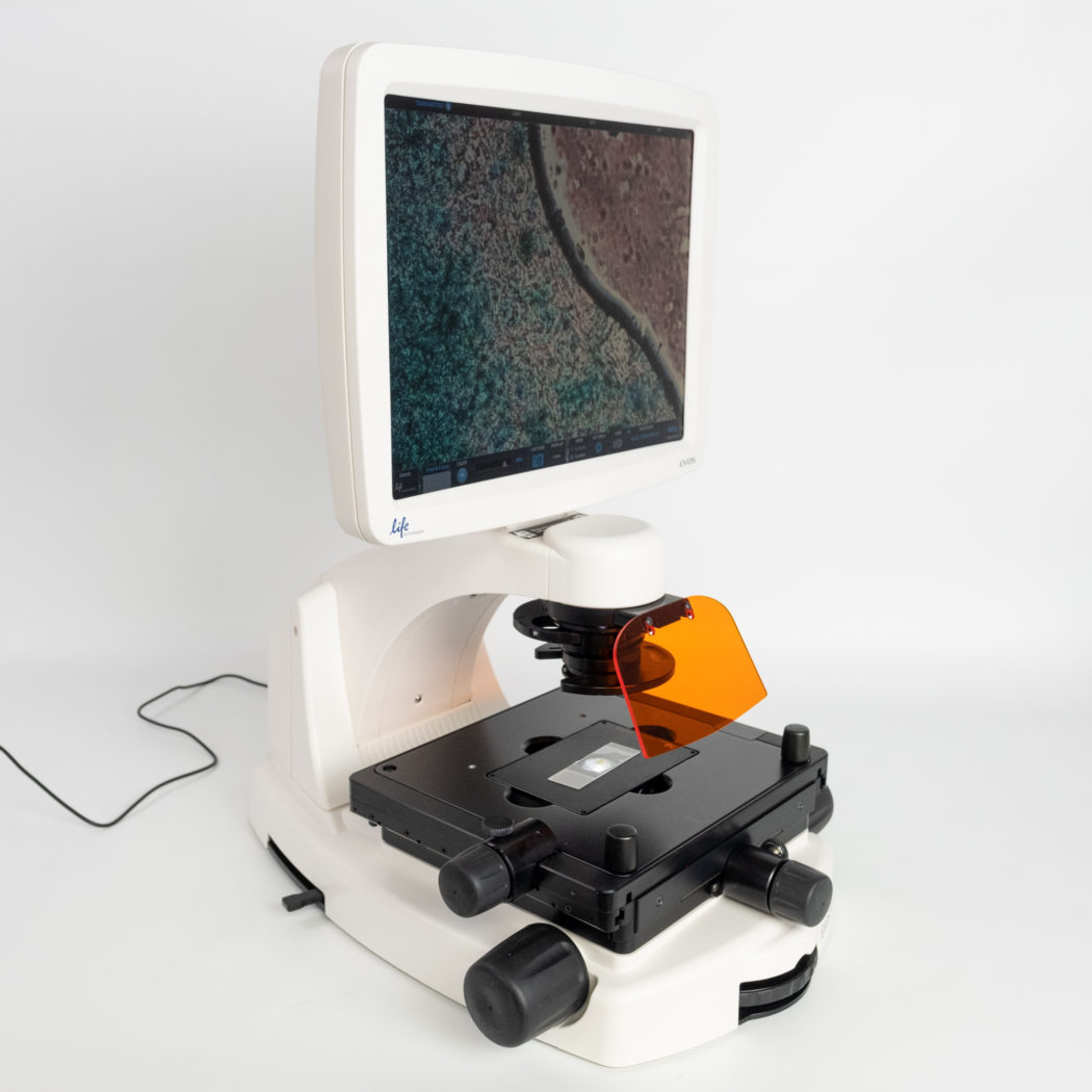 Invitrogen EVOS™ FL Imaging System